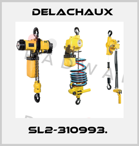 SL2-310993.  Delachaux