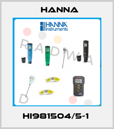 HI981504/5-1  Hanna