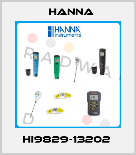 HI9829-13202  Hanna