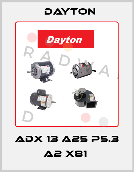 ADX 13 A25 P5.3 A2 X81  DAYTON