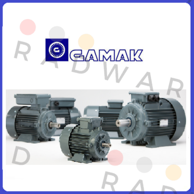 AGM2E-100L/2  Gamak