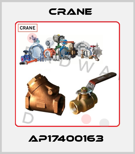 AP17400163  Crane