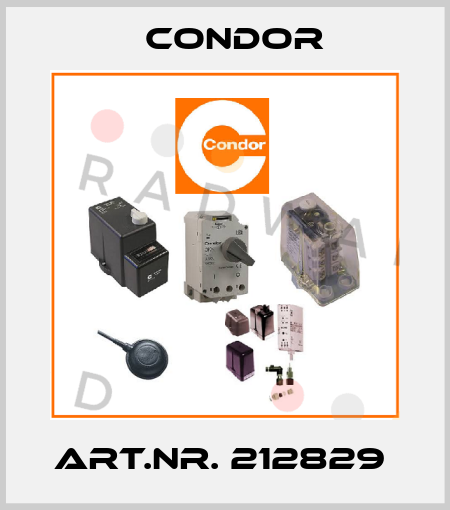 ART.NR. 212829  Condor