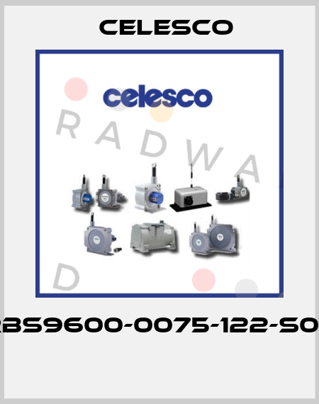 RBS9600-0075-122-S02  Celesco