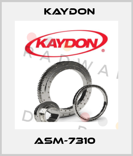 ASM-7310  Kaydon
