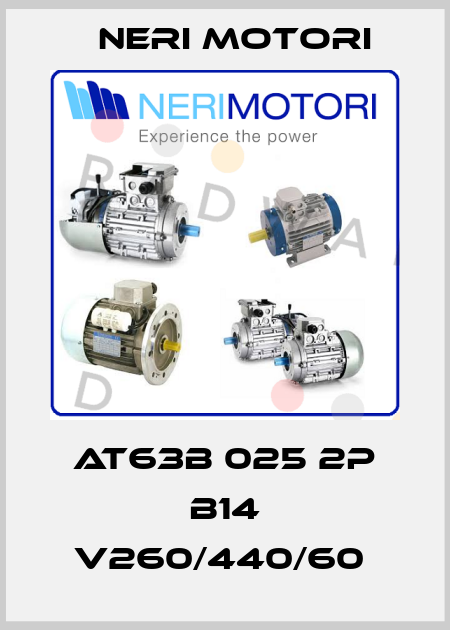 AT63B 025 2P B14 V260/440/60  Neri Motori