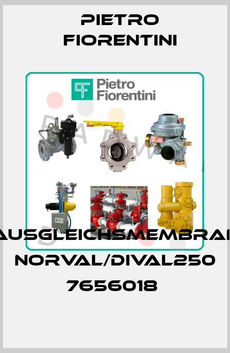 AUSGLEICHSMEMBRAN NORVAL/DIVAL250   7656018  Pietro Fiorentini