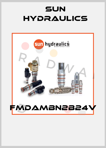 FMDAMBN2B24V  Sun Hydraulics