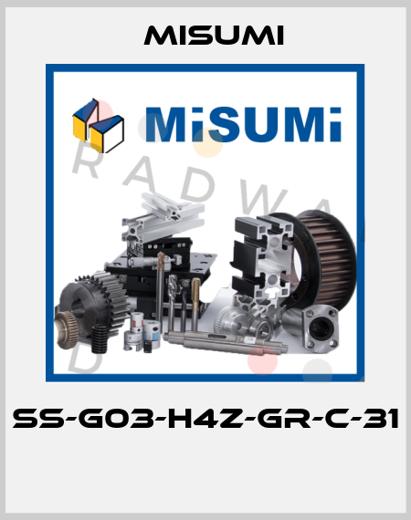 SS-G03-H4Z-GR-C-31  Misumi