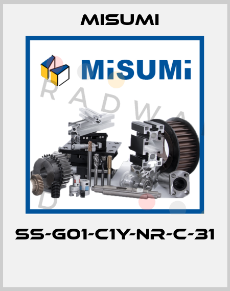 SS-G01-C1Y-NR-C-31  Misumi