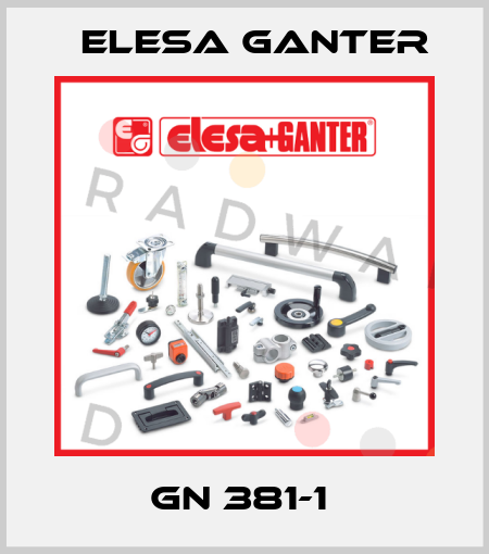 GN 381-1  Elesa Ganter