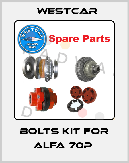 Bolts kit for Alfa 70P  Westcar