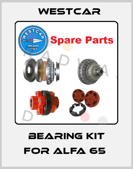 Bearing kit for Alfa 65  Westcar