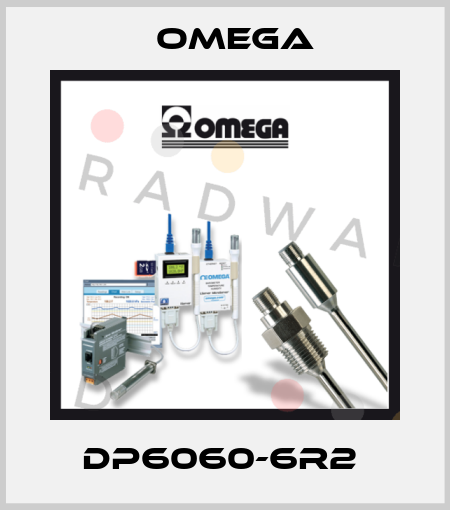 DP6060-6R2  Omega