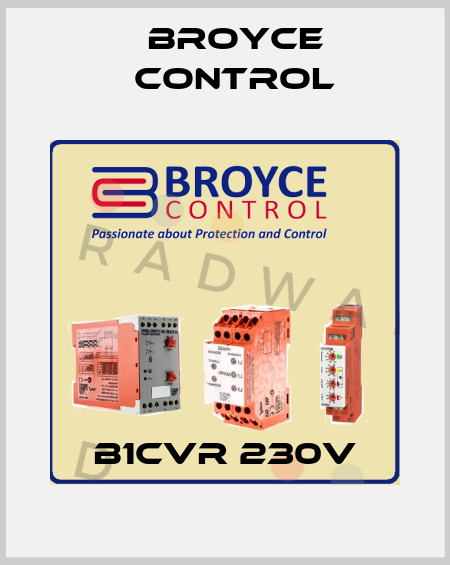 B1CVR 230V Broyce Control