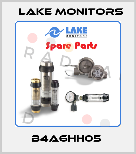 B4A6HH05  Lake Monitors