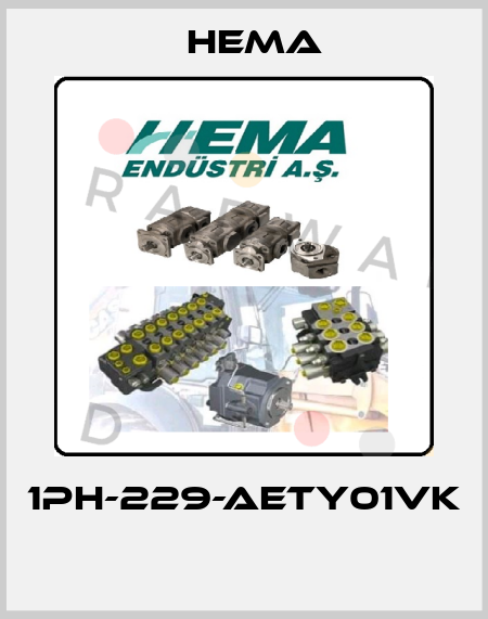 1PH-229-AETY01VK  Hema