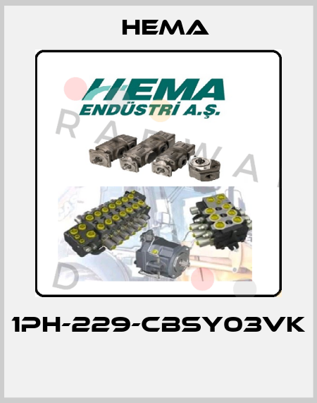 1PH-229-CBSY03VK  Hema