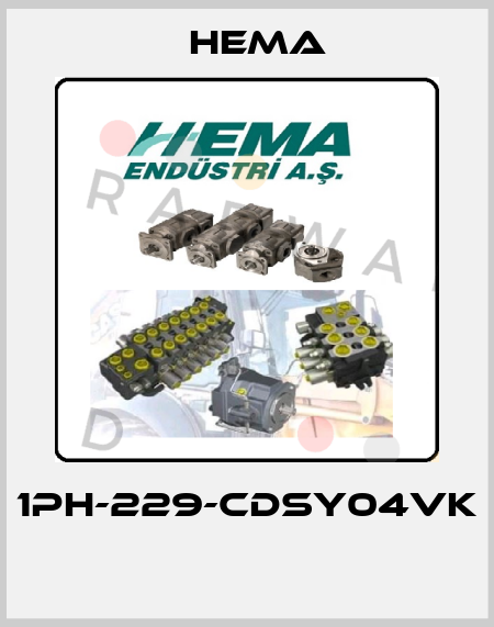 1PH-229-CDSY04VK  Hema