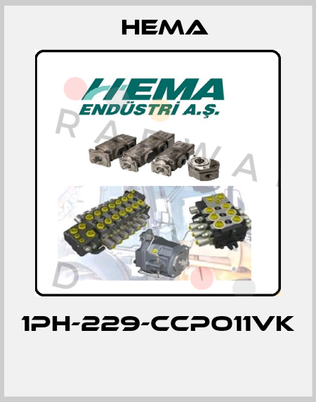 1PH-229-CCPO11VK  Hema