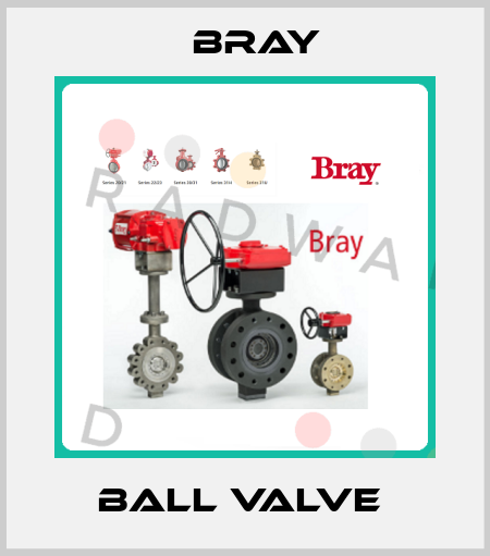 BALL VALVE  Bray