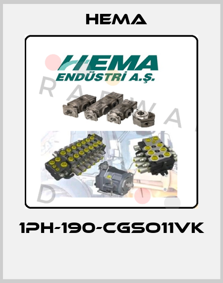 1PH-190-CGSO11VK  Hema