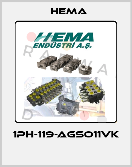 1PH-119-AGSO11VK  Hema