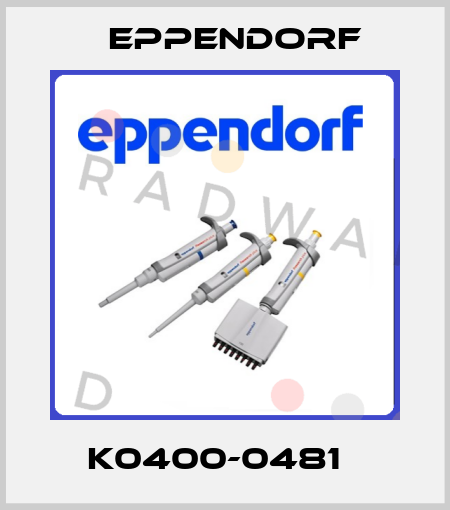  K0400-0481   Eppendorf