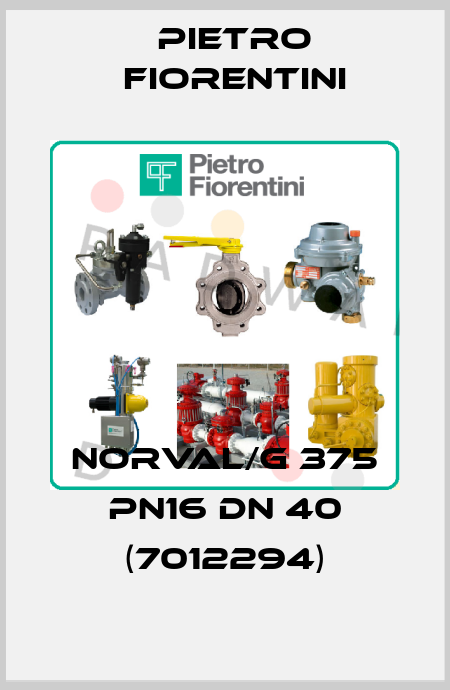 NORVAL/G 375 PN16 DN 40 (7012294) Pietro Fiorentini