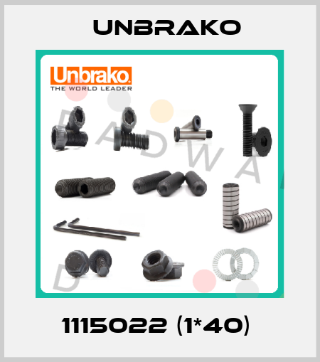 1115022 (1*40)  Unbrako