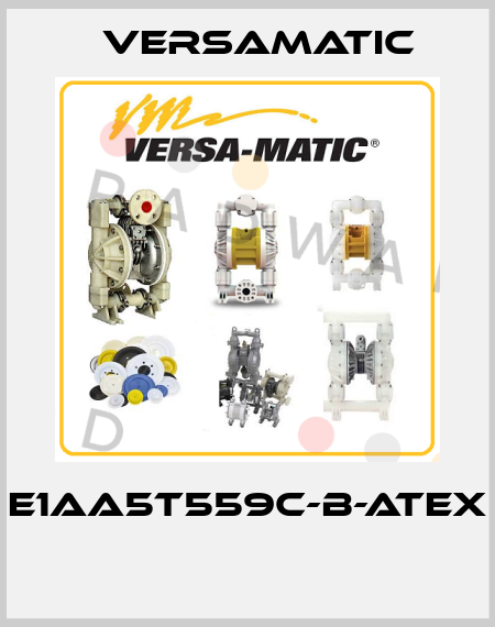 E1AA5T559C-B-ATEX  VersaMatic