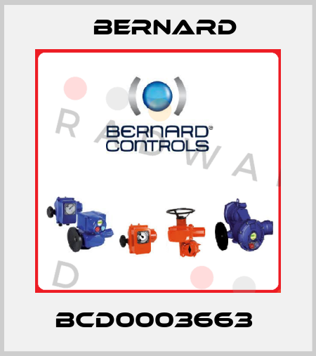 BCD0003663  Bernard