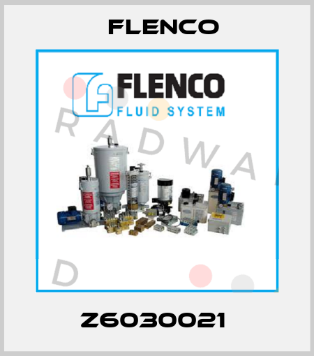 Z6030021  Flenco