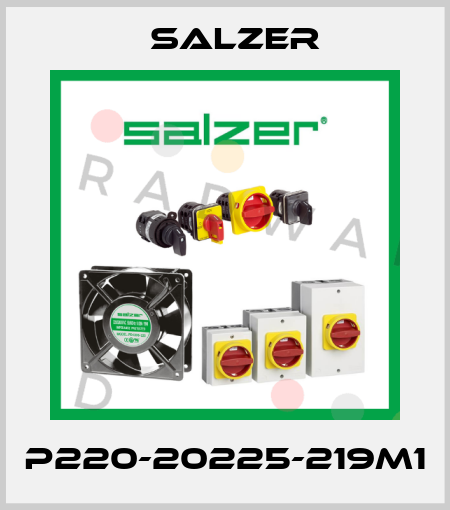 P220-20225-219M1 Salzer