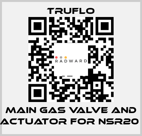 Main Gas Valve and Actuator For NSR20  TRUFLO