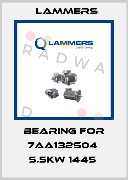 BEARING FOR 7AA132S04  5.5KW 1445  Lammers