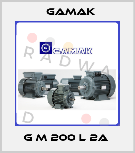 G M 200 L 2A  Gamak