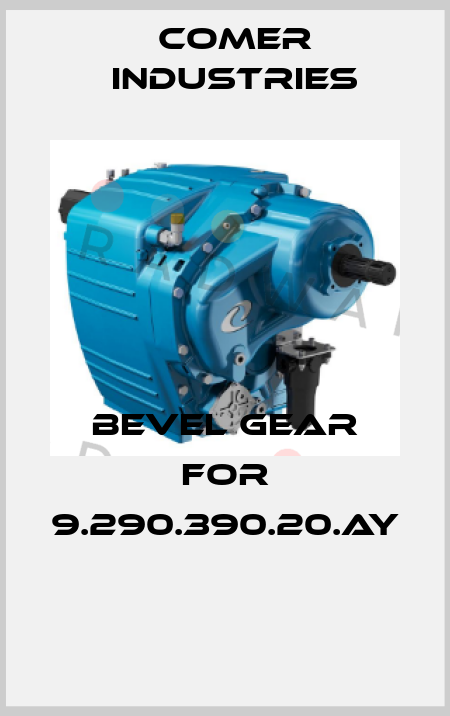 BEVEL GEAR FOR 9.290.390.20.AY  Comer Industries