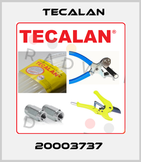 20003737  Tecalan