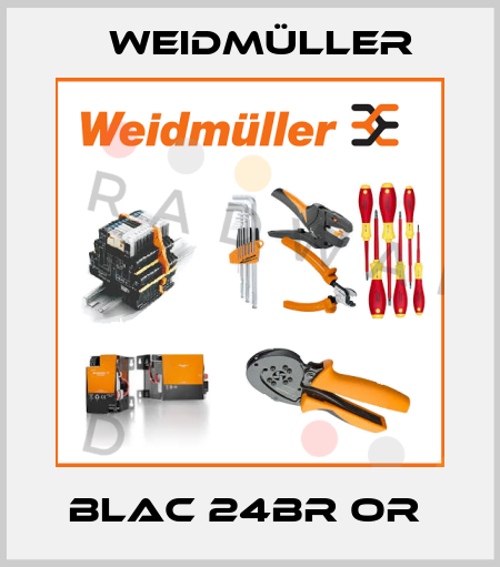 BLAC 24BR OR  Weidmüller