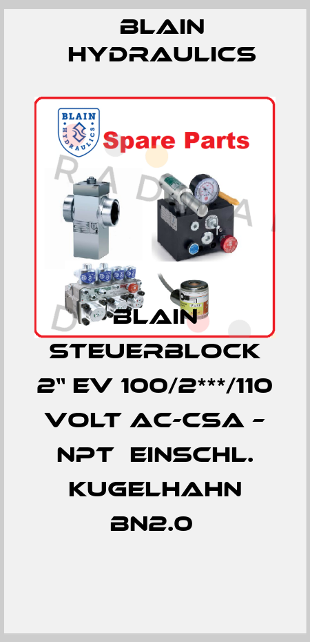BLAIN STEUERBLOCK 2“ EV 100/2***/110 VOLT AC-CSA – NPT  EINSCHL. KUGELHAHN BN2.0  Blain Hydraulics