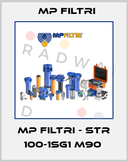MP Filtri - STR 100-1SG1 M90  MP Filtri