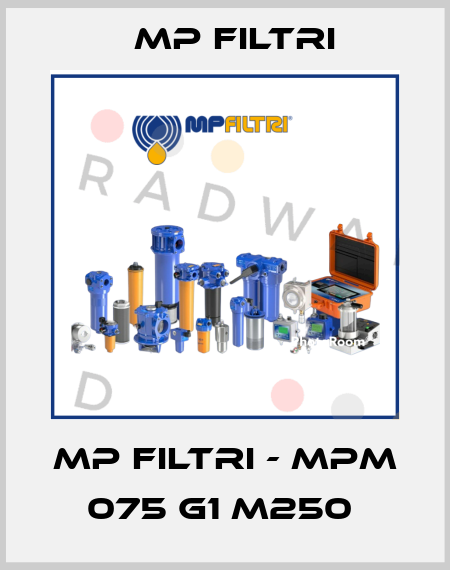 MP Filtri - MPM 075 G1 M250  MP Filtri