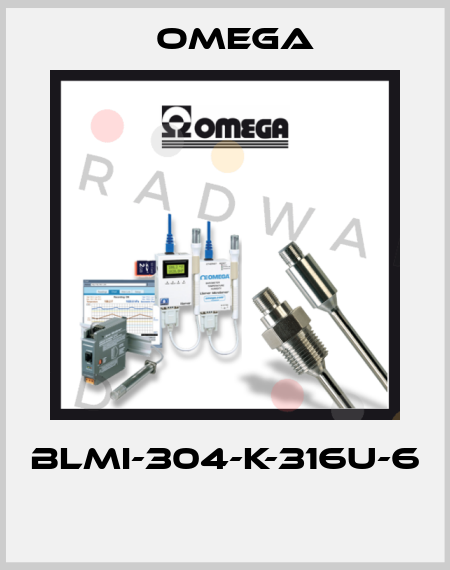 BLMI-304-K-316U-6  Omega