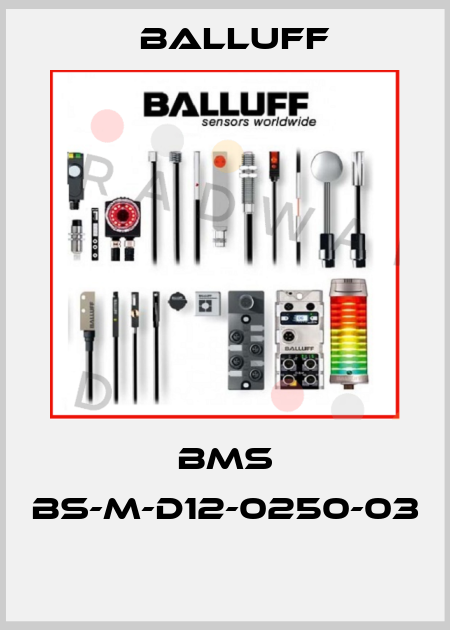 BMS BS-M-D12-0250-03  Balluff