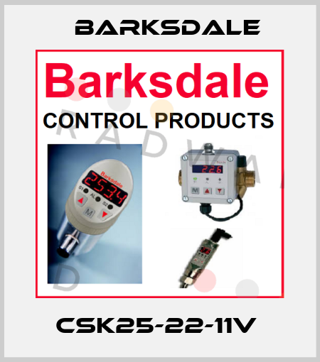 CSK25-22-11V  Barksdale