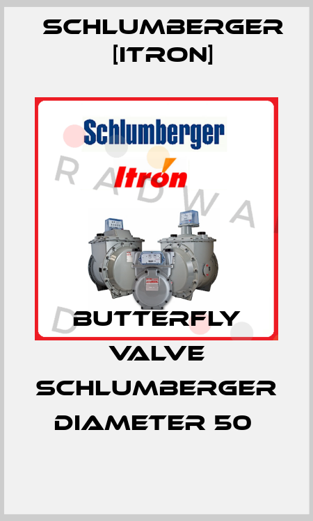 BUTTERFLY VALVE SCHLUMBERGER DIAMETER 50  Schlumberger [Itron]