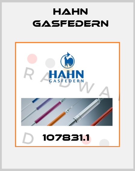 107831.1  Hahn Gasfedern