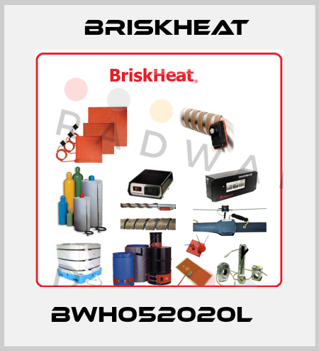 BWH052020L   BriskHeat
