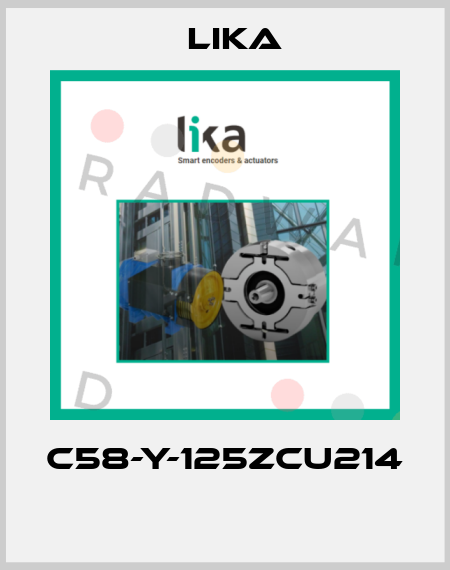 C58-Y-125ZCU214  Lika